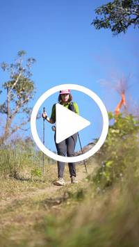 BIB:  <button type="button" onclick="openModal(26607808)" class="btn btn-primary btn-sm float-right" data-toggle="modal" data-target=".modal-high-quality">
                <i class="fa fa-download"></i> Download
                </button>